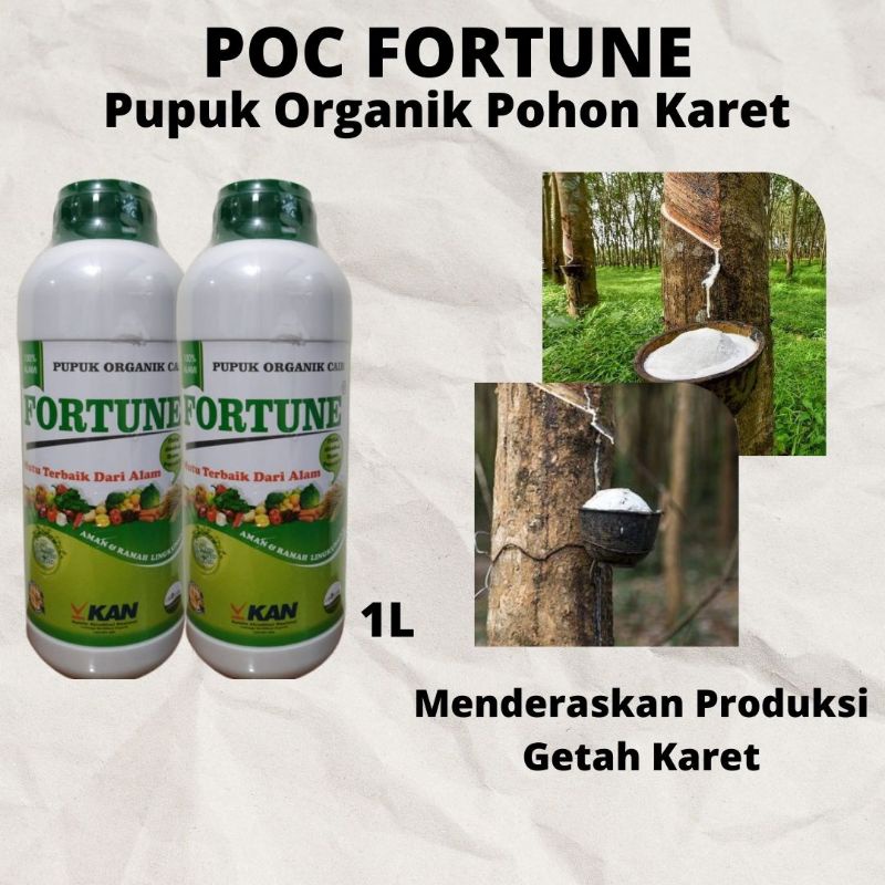 Pupuk Untuk Karet Mati Getah, Poc Fortune Perangsang Getah Pohon Karet Lateks