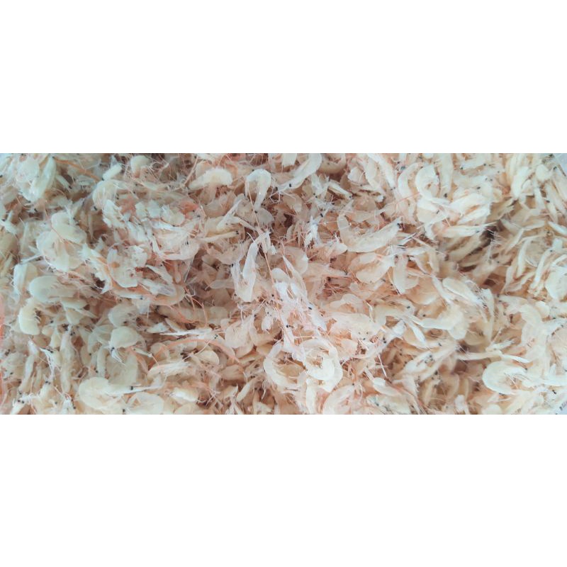 

ASIN UDANG REBON BERKUALITAS