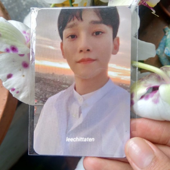 photocard chen dear my dear kihno dmd