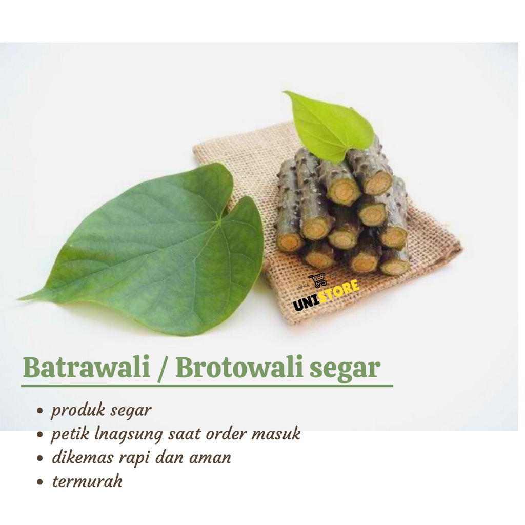 

HERBAL BROTOWALI SEGAR 500 GRAM BATRAWALI SI PAHIT BERKHASIAT