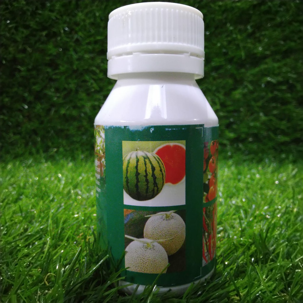 GIBRACO ZPT 100 Ml GIBBERELIC ACID/berfungsi mempengaruhi jaringan-jaringan dan sistem organ tanaman