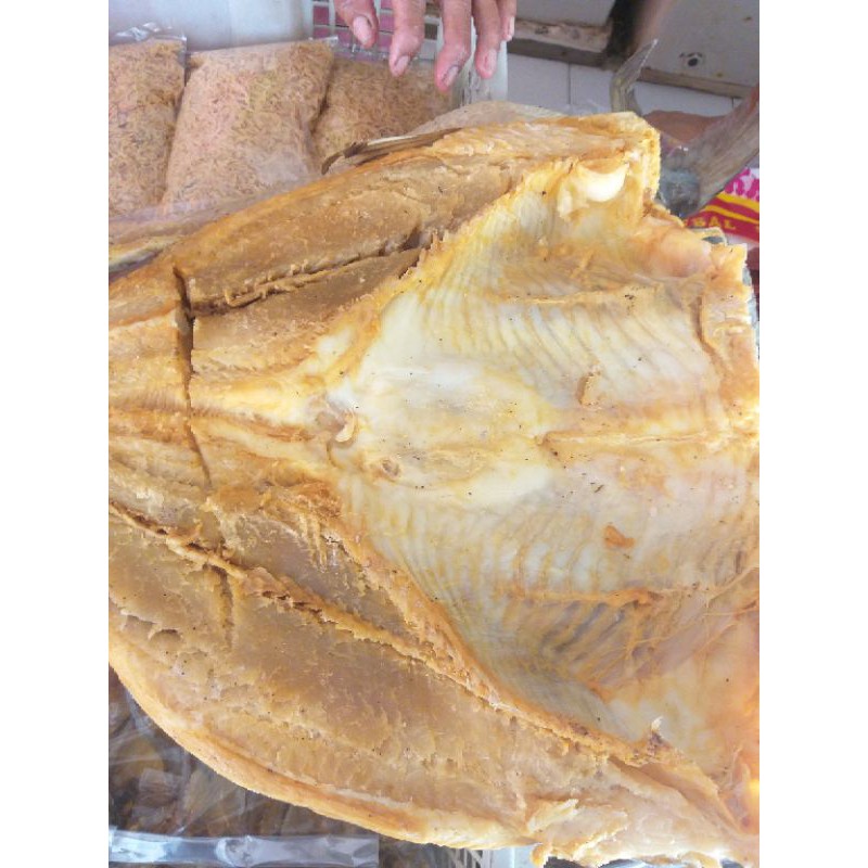 

ASIN JAMBAL FRESH STOCK PRODUSEN