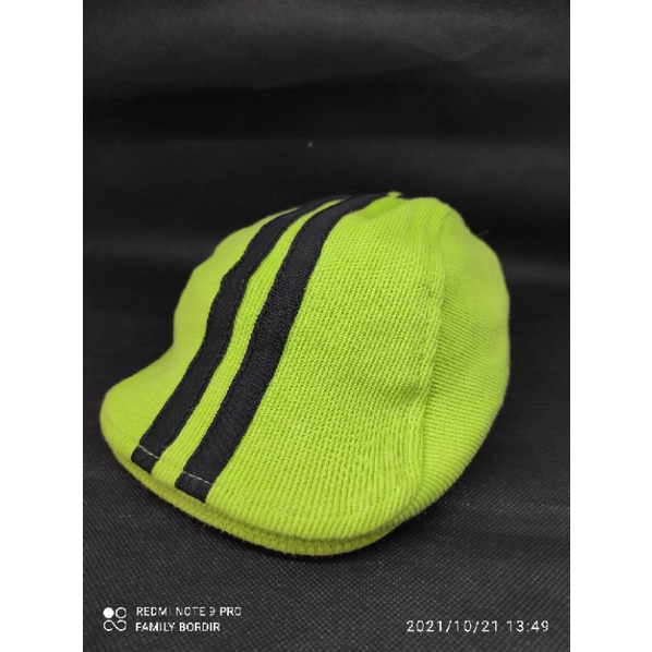 topi pet/copet/pelukis/kodok anak