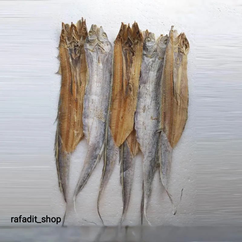 

Ikan Asin Gabus Laut Super Netto. 500Gram