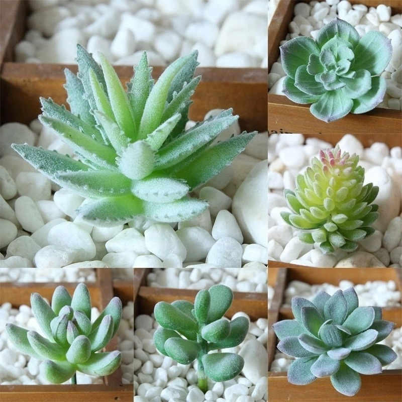 Tanaman Succulent Hijau / Kaktus Imitasi DIY Untuk Dekorasi Rumah / Pesta Pernikahan