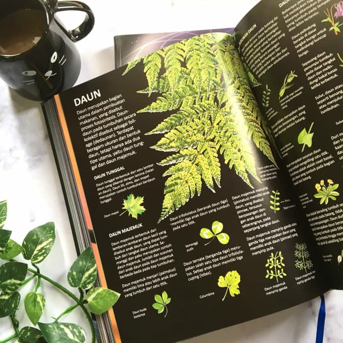 basar murah Buku ENSIKLOPEDIA SAINS, Penerbit BIP Gramedia