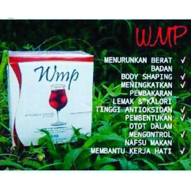 

Wmp