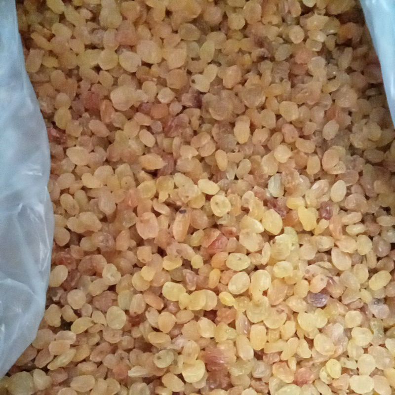 

KISMIS SIMIN MANIS 1KG, 500GR DAN 250GR