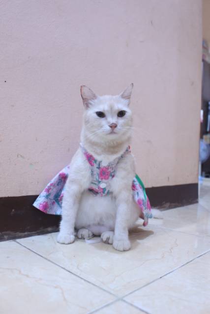 Dress kucing motif bunga-bunga pink lucu untuk kucing dan anjing / baju kucing murah size S-XL