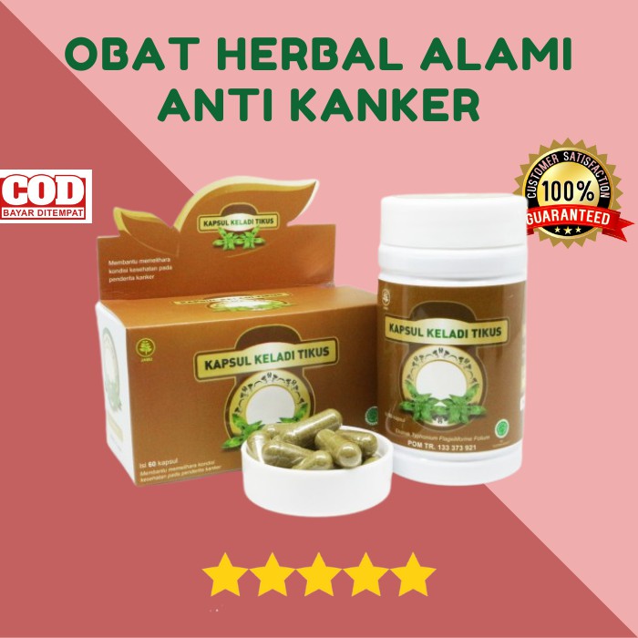 

KELADI TIKUS - Obat herbal alami mengobati Tumor dan Kangker Menetralisir racun - ORIGINAL NATURAFIT