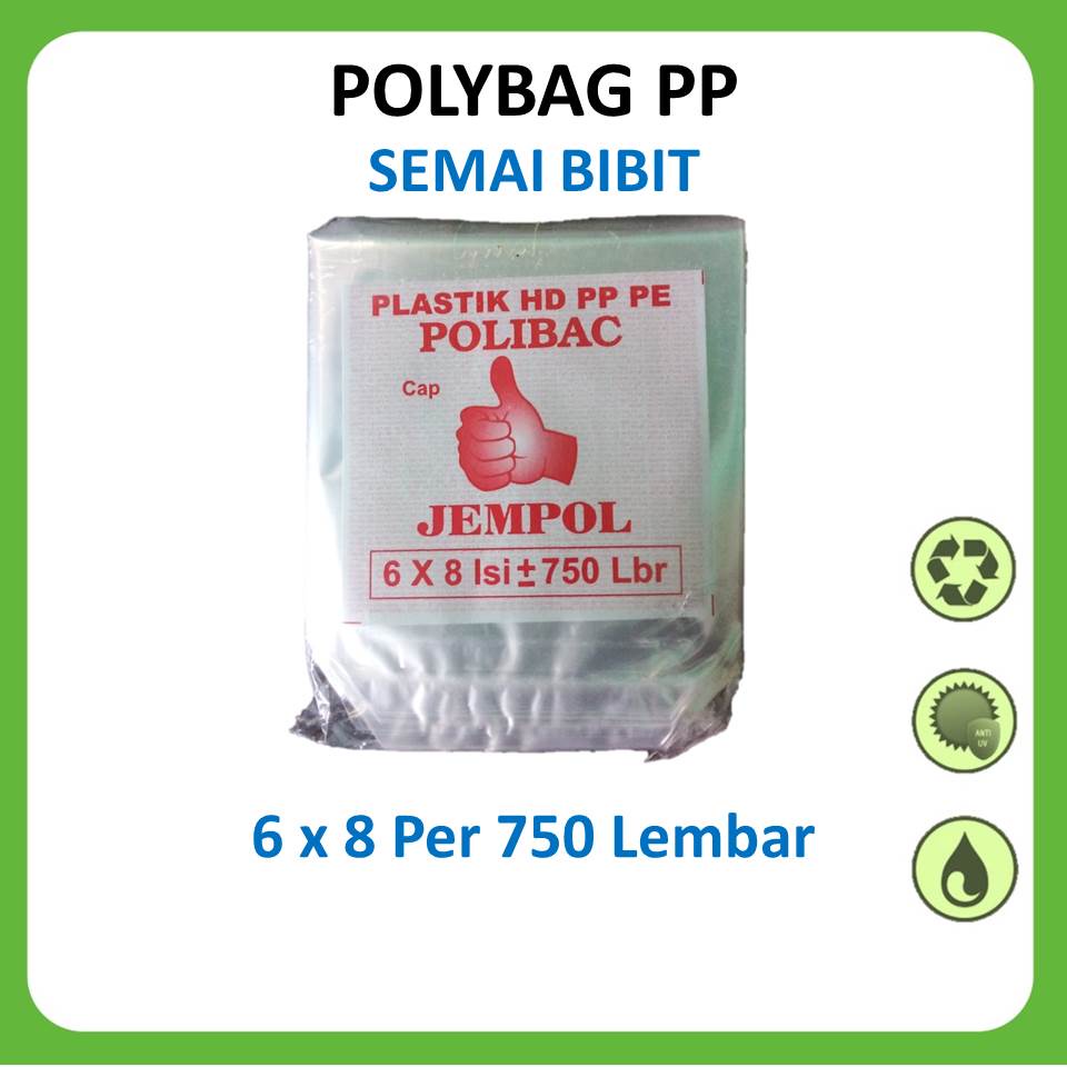 POLYBAG SEMAI 6 x 8 Per 750 Lembar Plastik pembibitan dan Semai tanaman