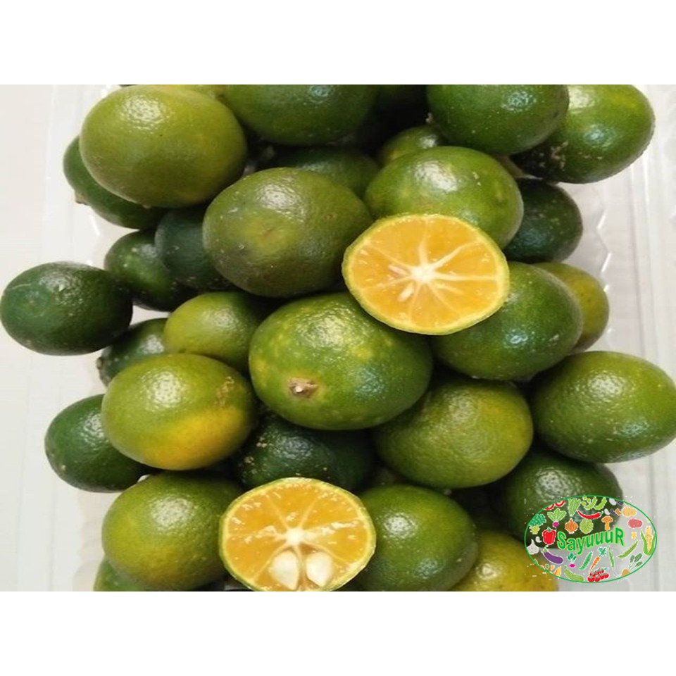 

jeruk sonkit/jeruk sambal