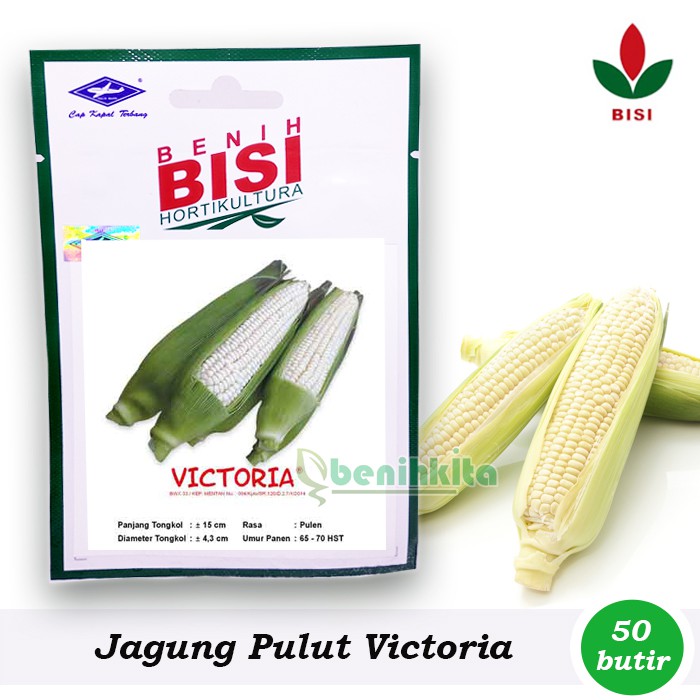 Benih-Bibit Jagung Pulut/Ketan Victoria F1 (BISI)