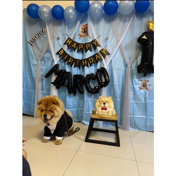 Dekorasi Ulang Tahun Barkday Birthday Hewan Binatang Kucing Anjing Piaraan Paket Lengkap Custom