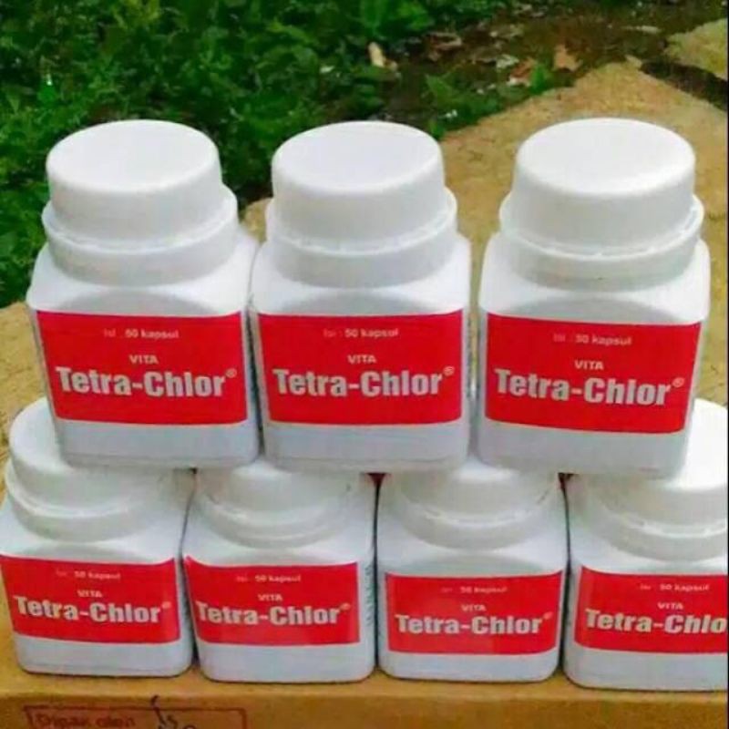 TETRA CHLOR BOTOL isi 50pcs