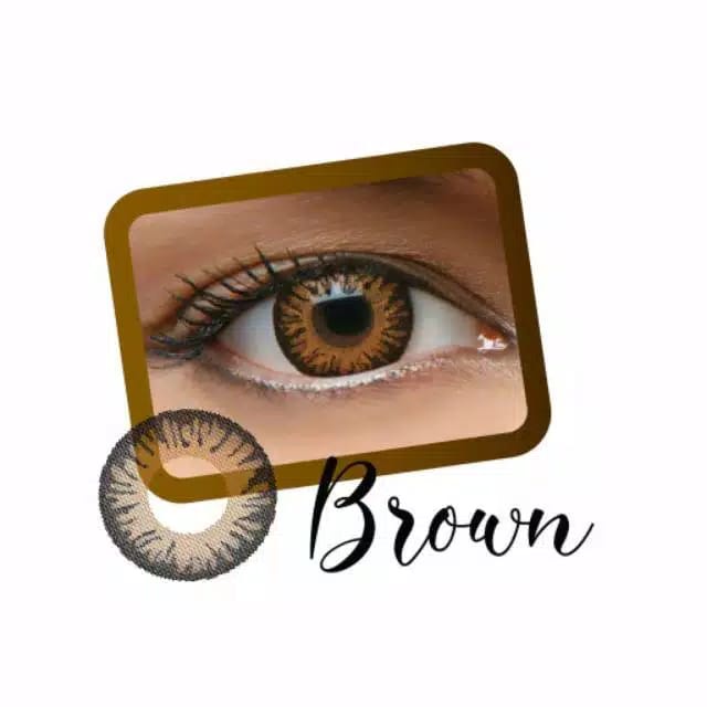 SOFTLENS NEWLOOK CHARM MINUS (-0.50 s/d -8.00) GREY &amp; BROWN