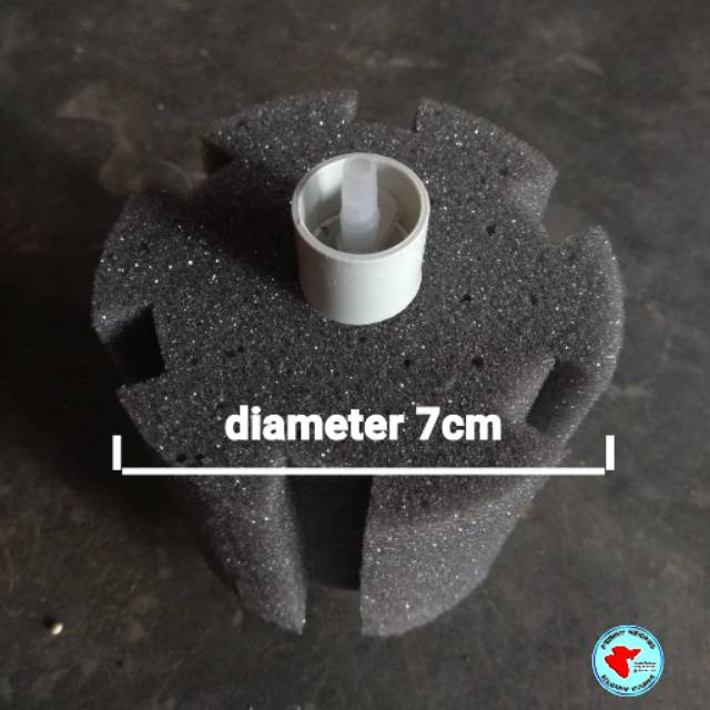 Biofoam ( filter aquarium )