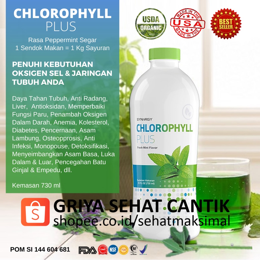 Klorofil USA Menjaga Kesehatan & Mengatasi Masalah Asam Lambung, Paru, Hati/Liver & Asam Urat