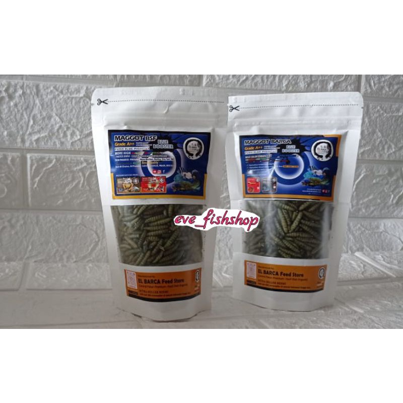 Maggot BSF Grade A ++ El Barca Blue Booster Pakan Channa Cana Chana Ulat Hongkong Elbarca