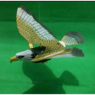 65 Koleksi Gambar Burung Elang Terbang HD Terbaru