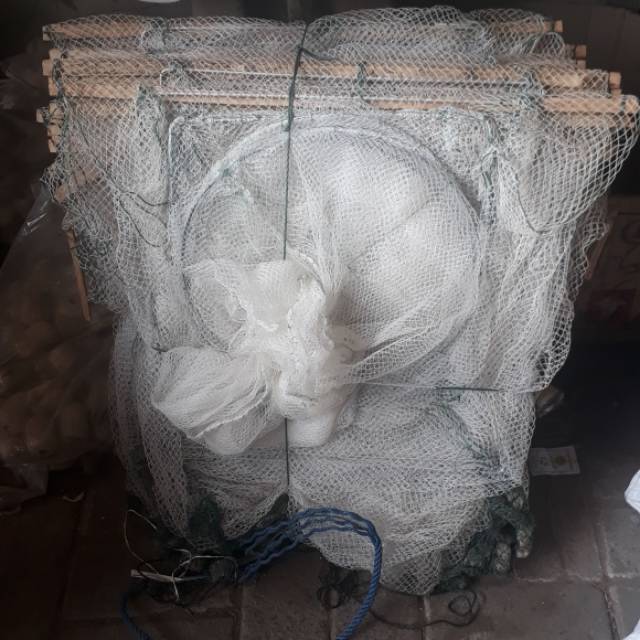 © °• Bubu Naga Putih 22m •° ©