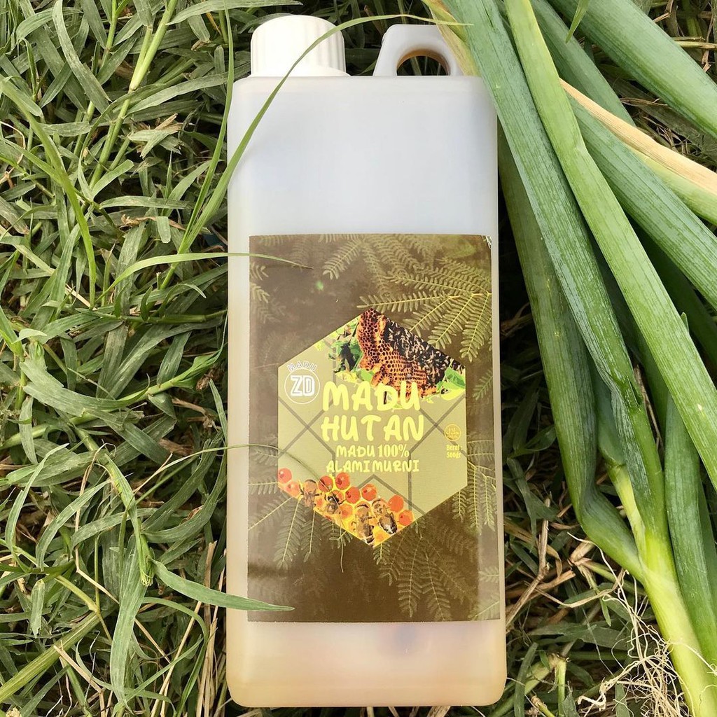 

MADU HUTAN MURNI JERIGEN 1 kg