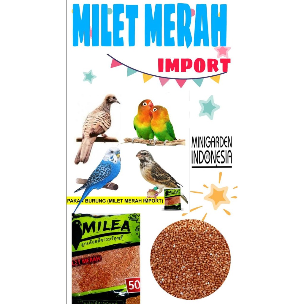 PAKAN BURUNG MILET MERAH MILEA IMPORT PREMIUM makanan burung lovebird ayam hasmter kenari perkutut