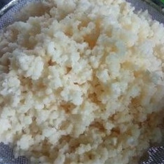 

Bibit Kefir Grains