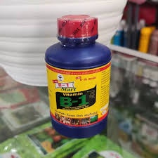 Vitamin B1 thailand