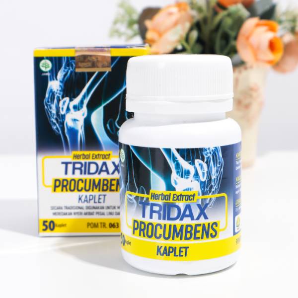 Tridax Procumbens Obat Herbal Asam Urat Reumatik rematik Nyeri Sendi pegalinu pegel linu