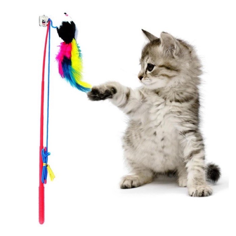 Cat Toy PANCING TIKUS / Mainan Hewan Kucing Anjing