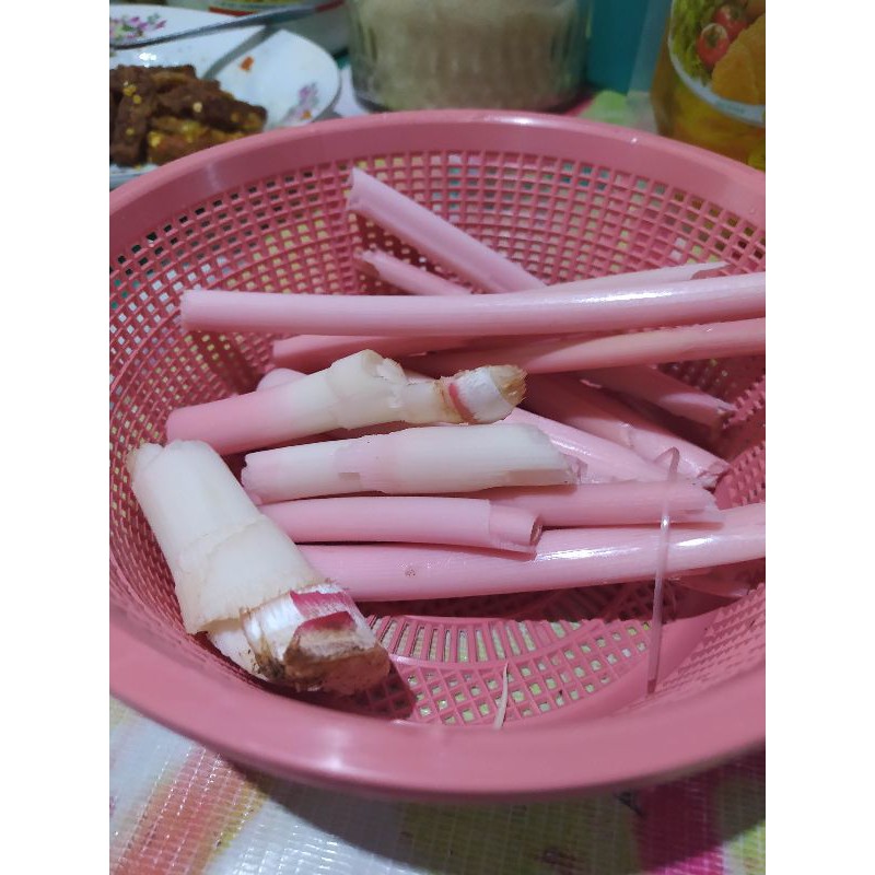 

Batang Rias (bumbu dapur)