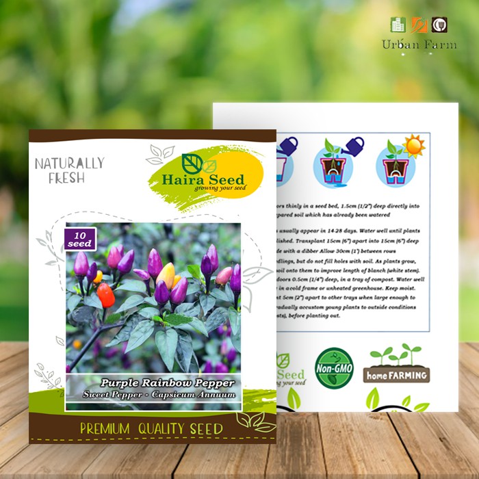 Benih-Bibit Cabe Hias Pelangi Purple Rainbow (Haira Seed)