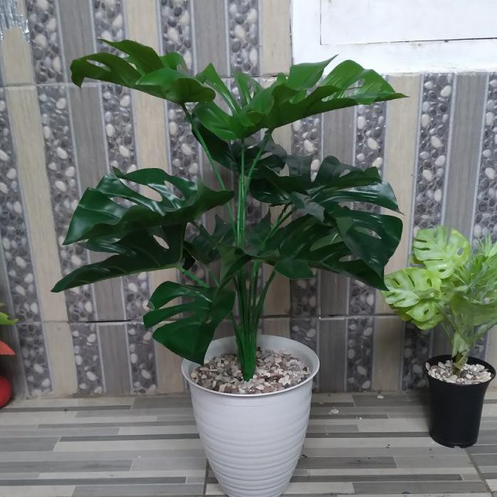 Pohon Mostera Plastik, Pohon Plastik, Pohon Artificial/Sintetis