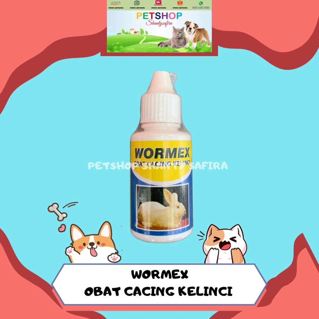 WORMEX OBAT CACING UNTUK KELINCI