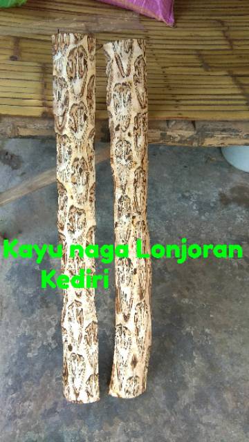 Kayu naga Lonjoran