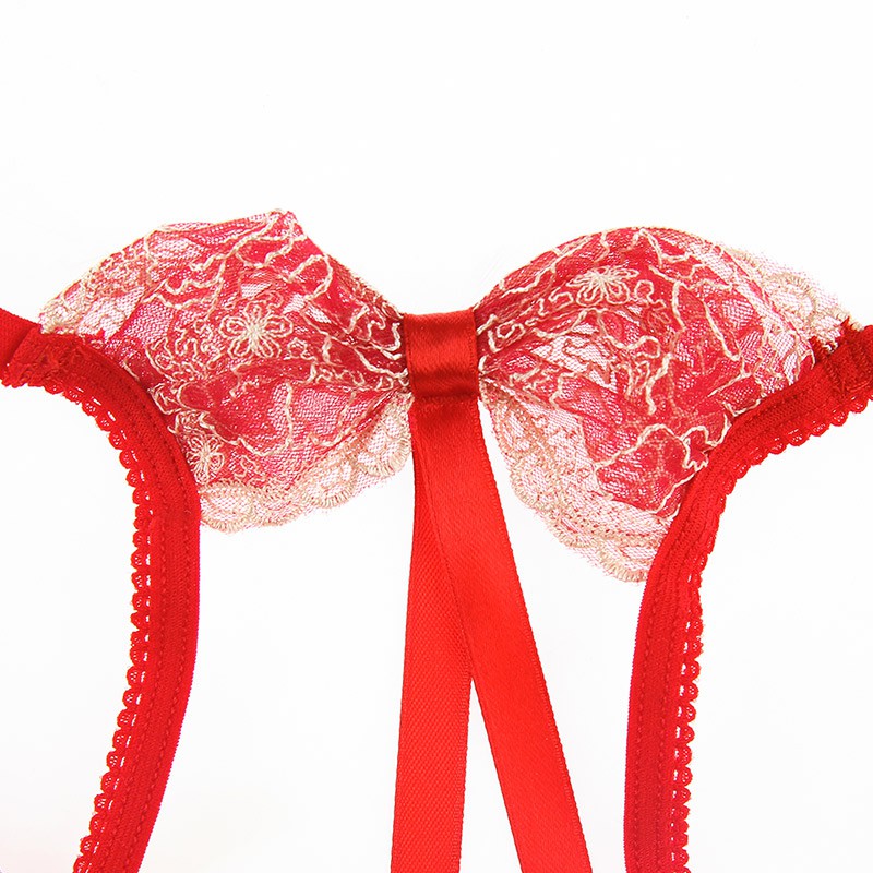 Sexy Lingerie Women Embroidery Hollow Out Wired Erotic Bra Panty Set