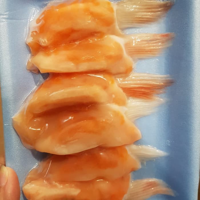 

Sirip salmon premium frozen