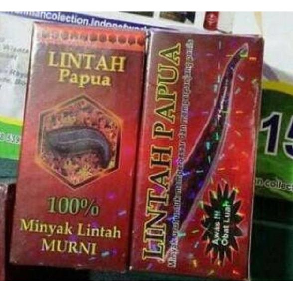 NEW MINYAK LINTAH HITAM ASLI PAPUA