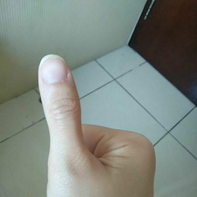 Cetakan Biskuit Acuan Biskuit Tart Roll No. 214 / Cetakan Nastar Gulung