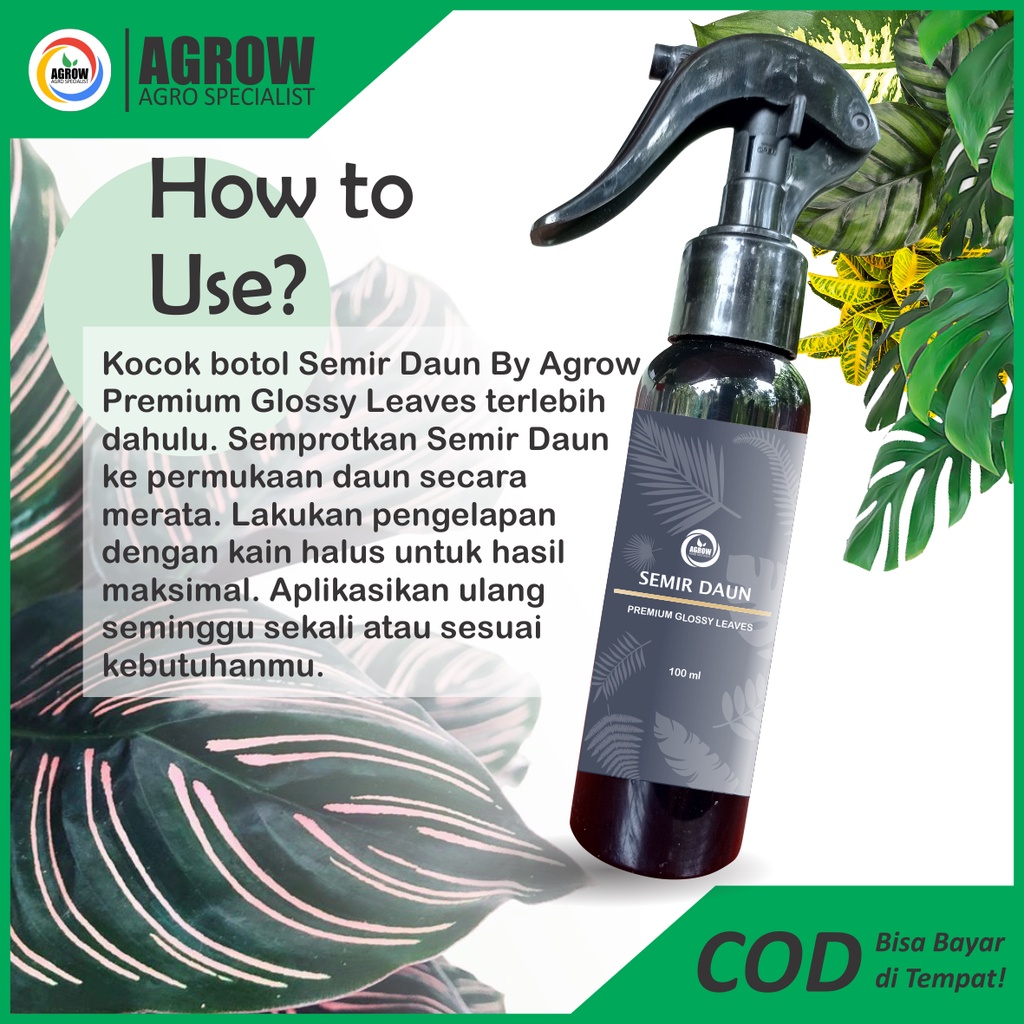 Semir Pengkilap Daun 100 ml Tanaman Hias Leaf Shine Aglonema Monstera Calathea Keladi Puring new desain