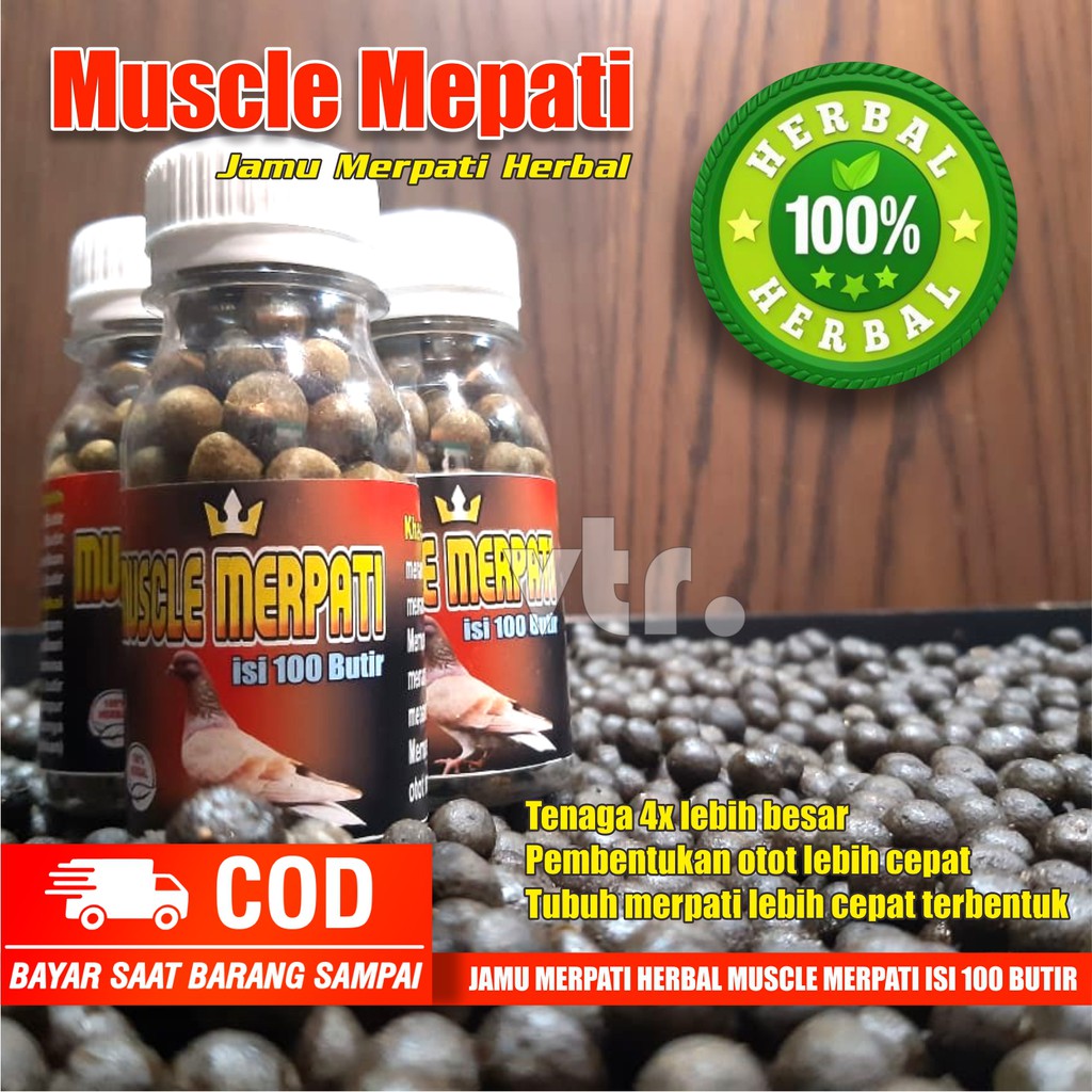 JAMU MERPATI KOLONG DAN BALAP MUSCLE MERPATI 100 BUTIR / JAMU MERPATI KOLONG / JAMU MERPATI BALAP