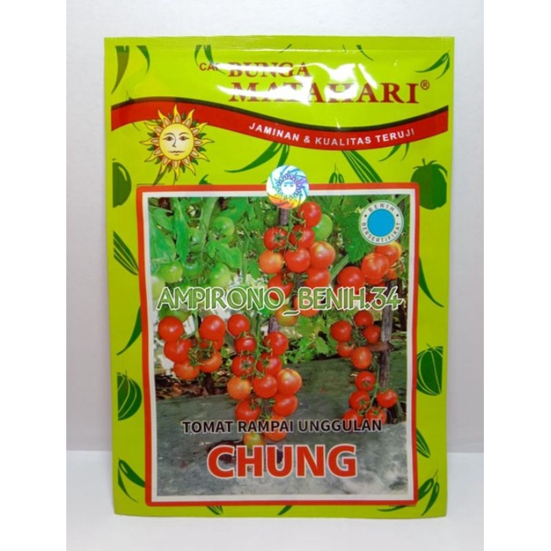 Benih Tomat Rampai / Rempai Chung 10 Gram || Cap Bunga Matahari