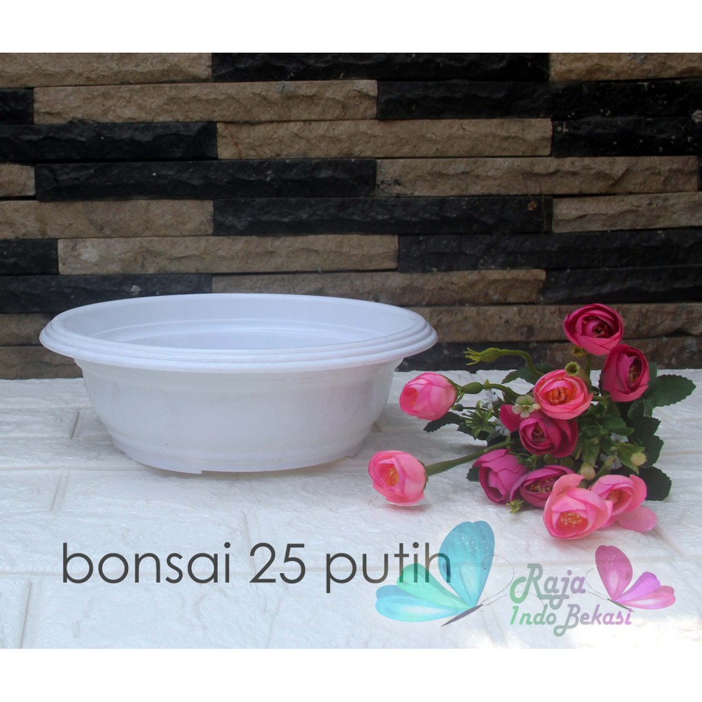 Pot Bonsai Bulat 25CM Putih | Pot Tanaman Bonsai 25 Cm Plastik Bukan Gerabah | Pot Bonsai Ceper 25