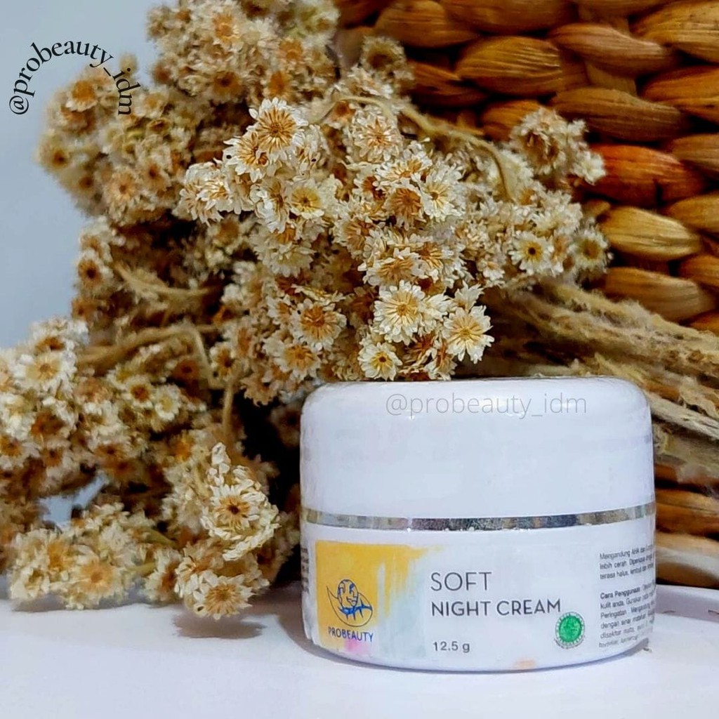 Probeauty Soft Night Cream / Krim Malam Aha Dengan Whitening Complex