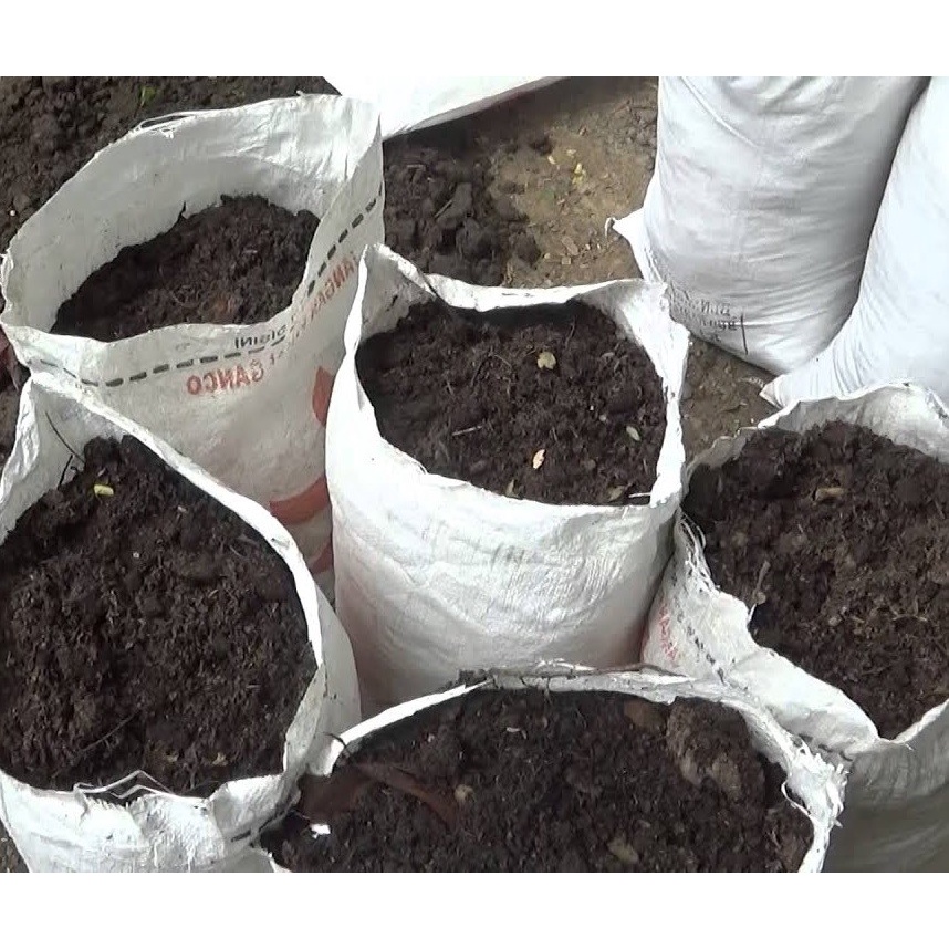 JUAL TANAH KARUNGAN MURNI TANAH GUNUNG 6-8KG