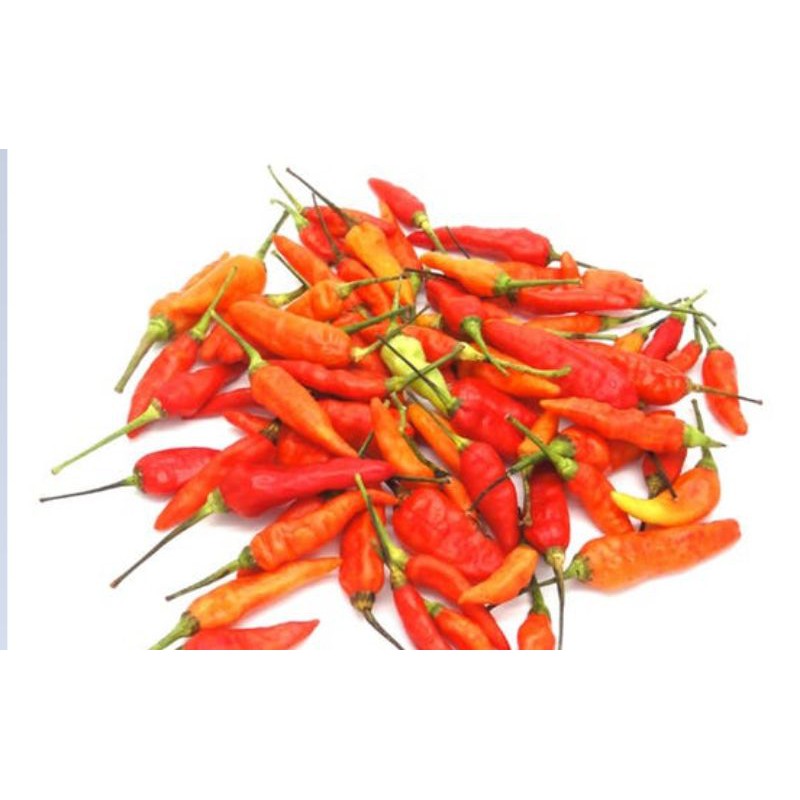 

Cabe Rawit Merah / Birds eye chilli 250gr