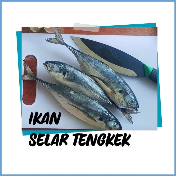 

Ikan Selar Tengkek Tetengkek