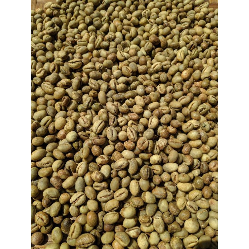 

Greenbean kopi robusta peaberry lanang lampung 1kg