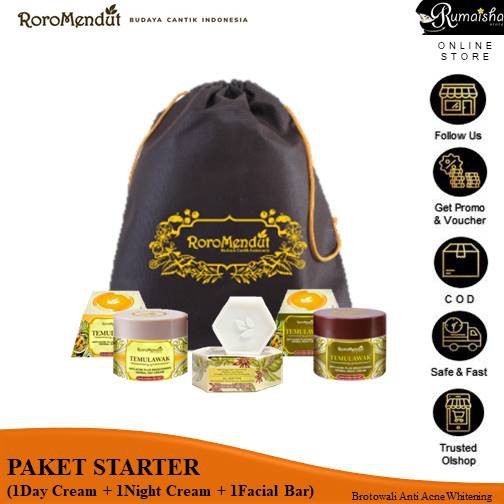 TEMULAWAK PAKET STARTER RORO MENDUT SKINCARE